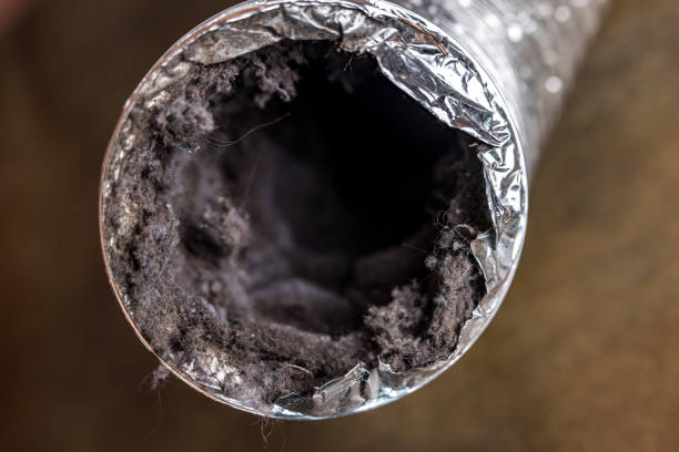 Best HVAC System Cleaning  in Forsgate, NJ